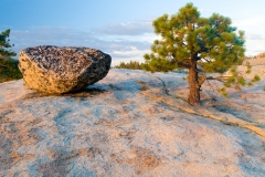 Fine Arts Erratic Boulder and Tree