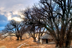 Fine Arts Highway 50 cabin