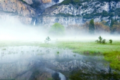 Fine Arts Yosemite Falls #3