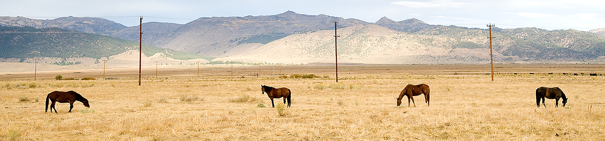 Gold Country Images